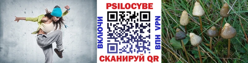 Псилоцибиновые грибы ЛСД  Суздаль 