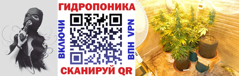 Бошки Шишки семена  Суздаль 